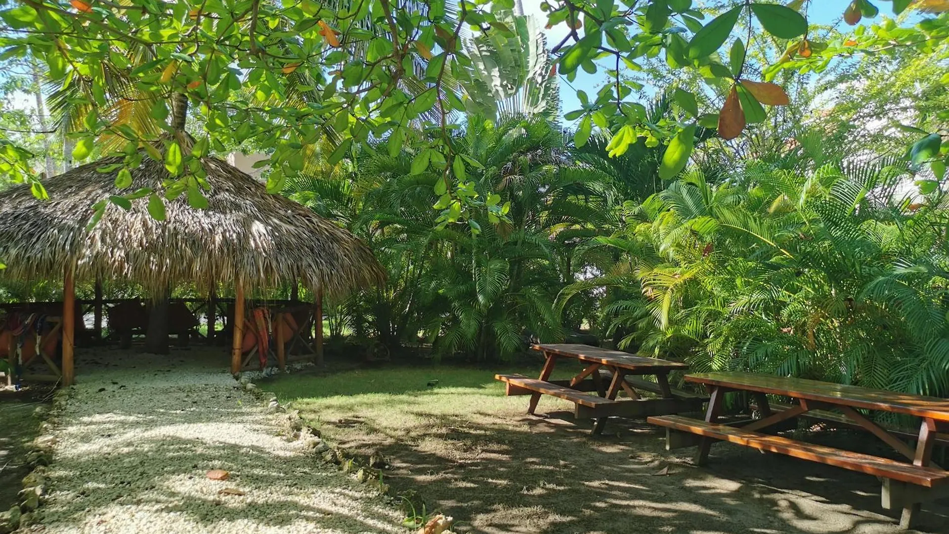 Hotel Tropical Village Playa Los Corales Punta Cana